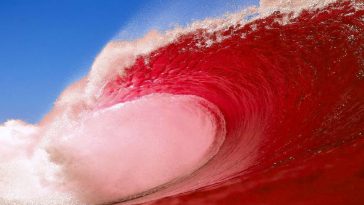 Red Wave 2018