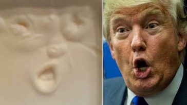 President Trump Pancake Thief